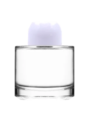 100 ml perfume bottle